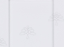 Anchester Series White Shaker Sample Wood Swatch