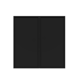 Urban Slim Black Painted Finish Wall Cabinet  with 2 doors